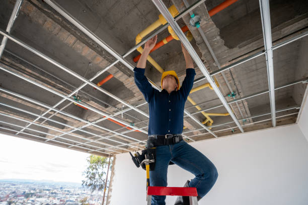 Best Emergency Plumber  in Williston Park, NY