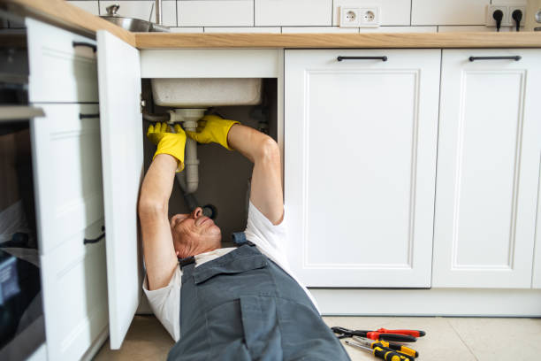 Best Plumbing Inspection Services  in Williston Park, NY
